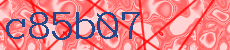 c85b07